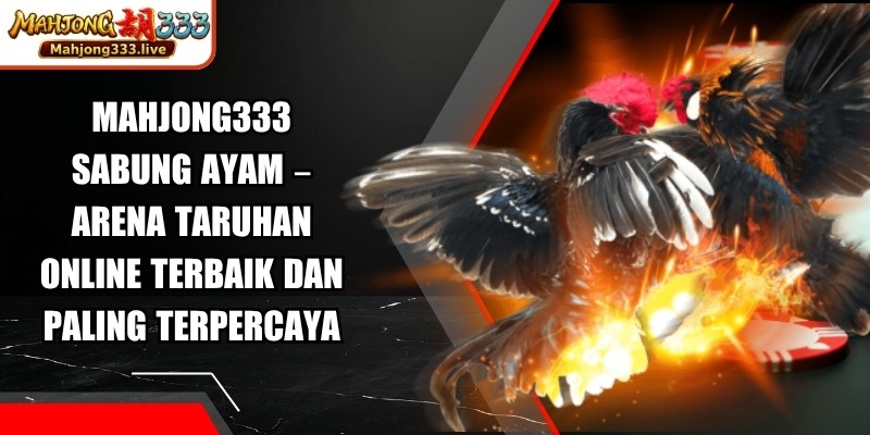 Mahjong333 Sabung Ayam